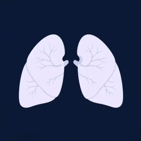 LUNG