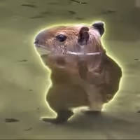 STEPPYBARA