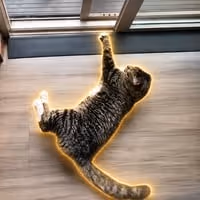 GUS