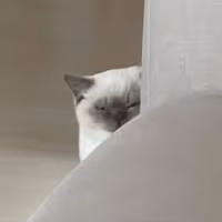 SUSCAT
