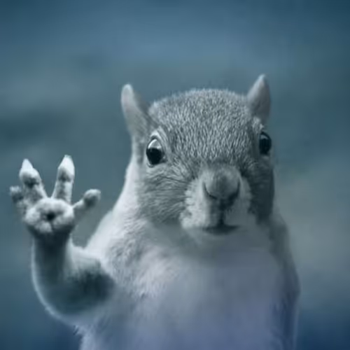 SQUIRREL