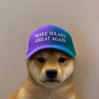DOGWIFCAP