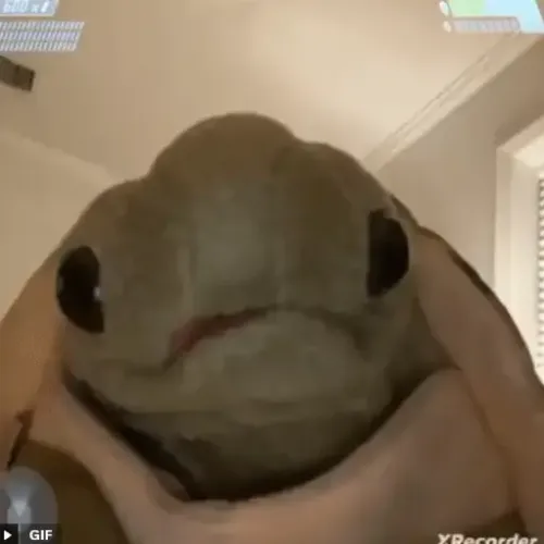 TORTUGA