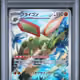 79BopfaLAZdWgSxymRg5wz315n2mwFgvgF57VBSe3D4j