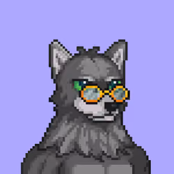 Wolf Capital #3974