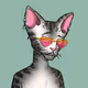 7KKrqxr2q8bUgDTxcqS8bMGPtHfSwGrDrRCKQW54gWy6