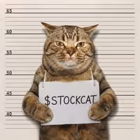 STOCKCAT