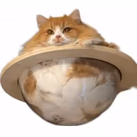 CATURN