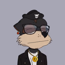 Meerkat #6753