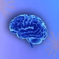 SECOND BRAIN