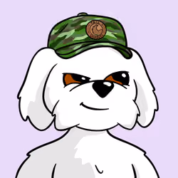 7tovXByfUmVh6BdvHLNLZbtymMd3JMHTPCmdPPYoL5Na