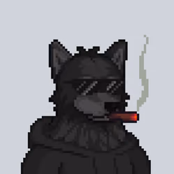 Wolf Capital #2017