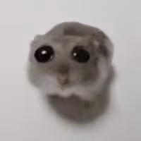 HAMMY