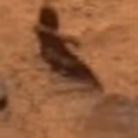 MARTIAN