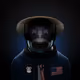 8bcY3HZ1i1RT1U4prYiAUq4SL1ShKxB8weuTE7hyp11m
