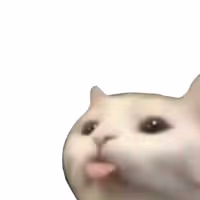 :P