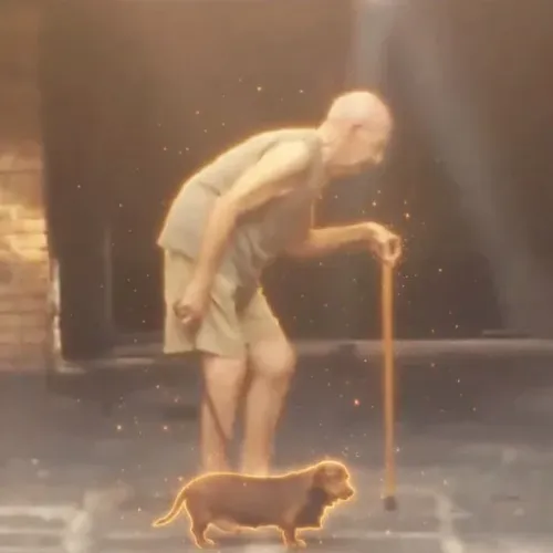 DACHSHUND