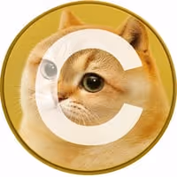 DOGE-1