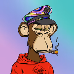 Bored Ape Solana Club #5122