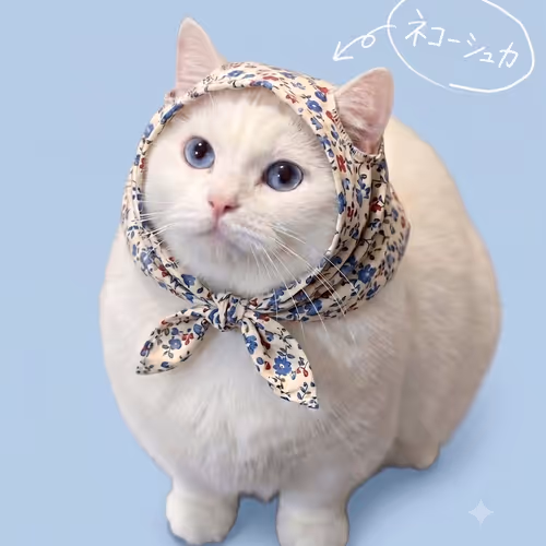 NEKOSHKA