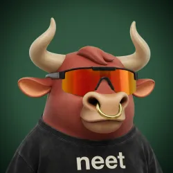 The Bulls #41737