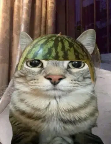 MELON