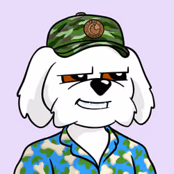 BDrdgrJGjZLHY1rKMKcXrSroxvkjxJpVEQRH1HUJHLzb