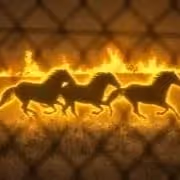 HORSES