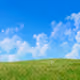 grass