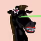 C5rfddTqtUuiApXqTrKfgCnq3vxCLQPX2R7DcBieJ2uU