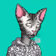 CCGdk4haJRr8Msk5XFsAdqpqHHA7UWfiREqQWCrtc2eX