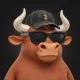 The Bulls #8926