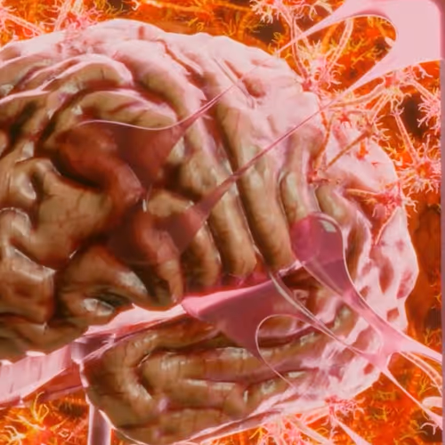 ORGANOID