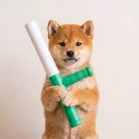 BATON
