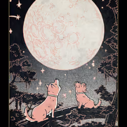 The Full Moon