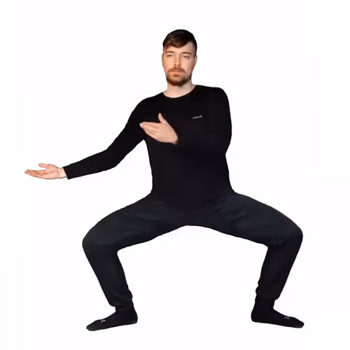 MISTERBIS