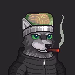 Wolf Capital #4485