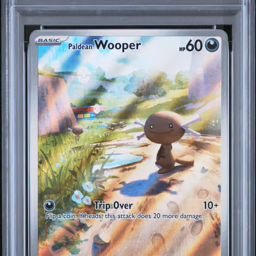2025 #102 Paldean Wooper PSA 9 Pfl EN-Phantasmal Flames Pokemon