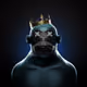 Dbd6wywabGiQ5gyAf9hr6nLPbxUce9oeW1GeUQ9wpA3q