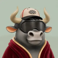 The Bulls #15845