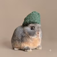 MING