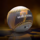 2024 World Series Commemorative Baseball