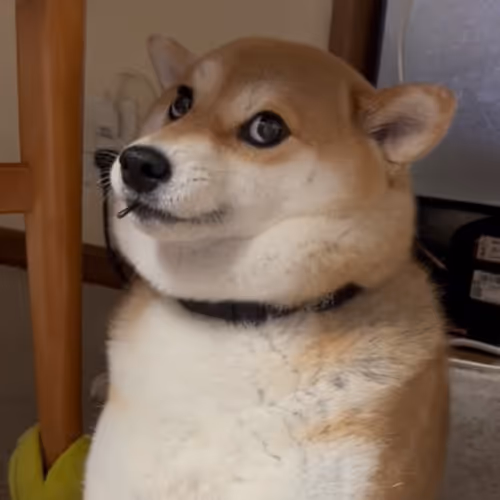 YUKI