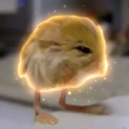 JERBOA