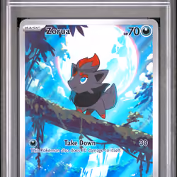 2025 #142 Zorua PSA 9 Wht EN-White Flare