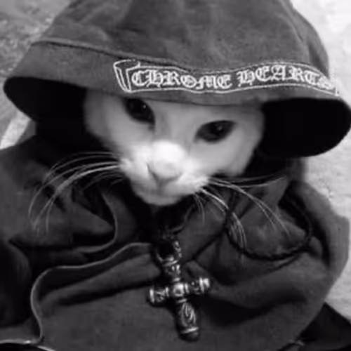 MEOW
