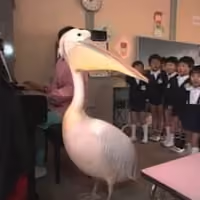 KATTA
