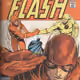 The Flash The Fastest Man 930
