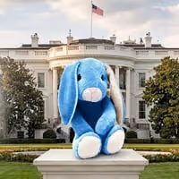 BUNNY