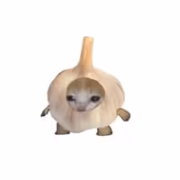 GARLICCAT